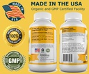 probiotics-for-dogs-digestive-with-dog-s-6.jpg