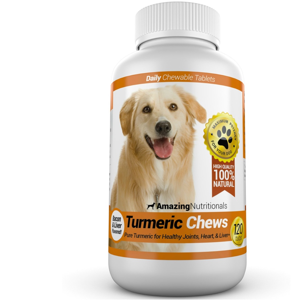 probiotics-for-dogs-digestive-health-tur-4.jpg