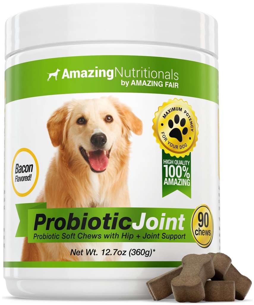probiotics-for-dogs-digestive-health-tur-2.jpg