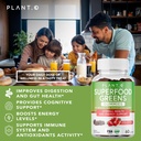 plant-o-nutrition-supergreens-gummies-da-3.jpg