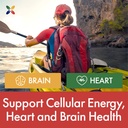stop-aging-now-max-q10-coenzyme-formulat-6.jpg
