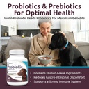 k9-select-pet-probiotics-for-dogs-with-i-3.jpg