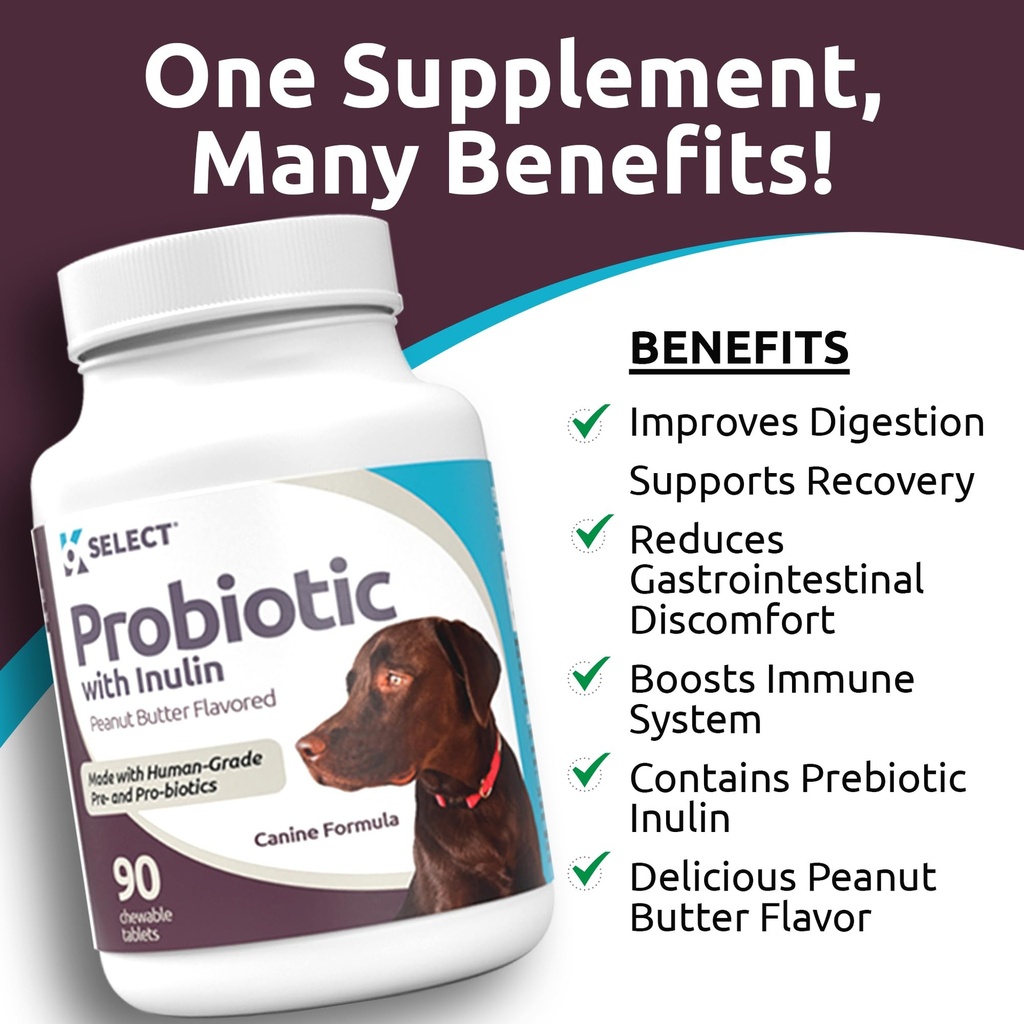 k9-select-pet-probiotics-for-dogs-with-i-6.jpg