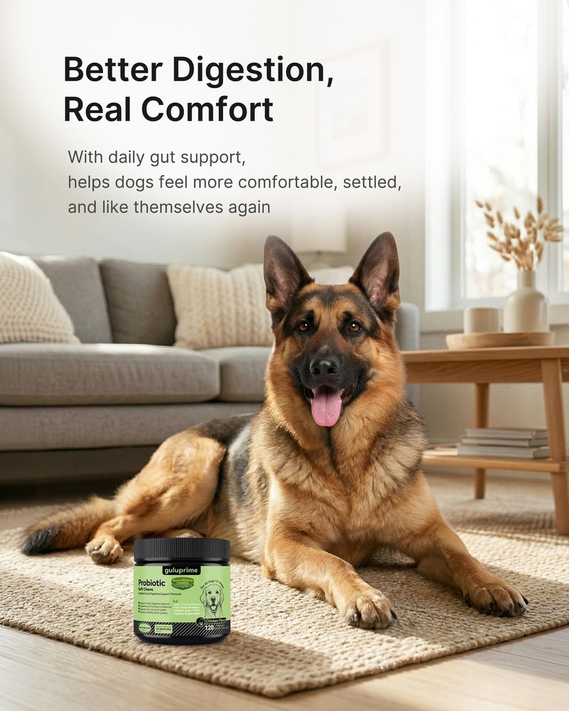 probiotics-for-dogs-dog-probiotics-diges-4.jpg