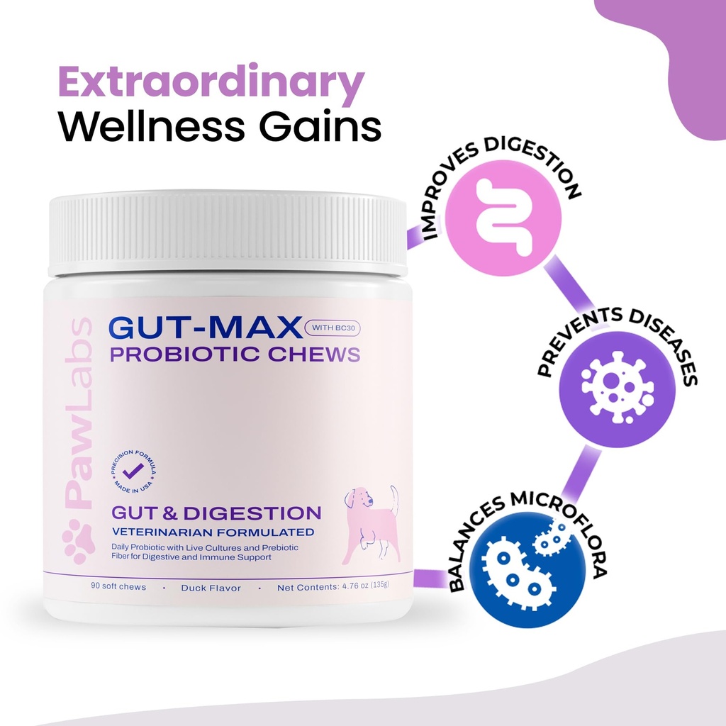 pawlabs-gut-max-probiotic-chews-natural--4.jpg