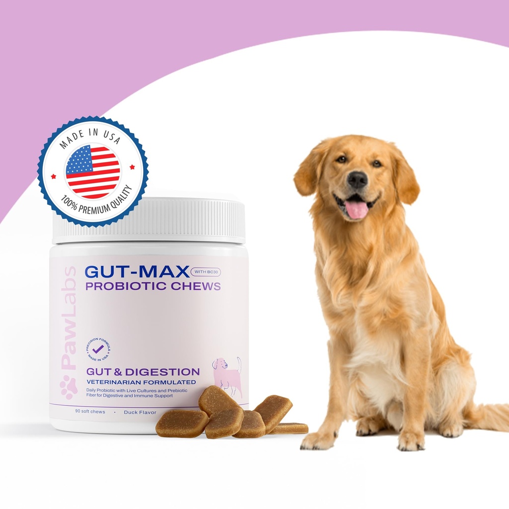 pawlabs-gut-max-probiotic-chews-natural--2.jpg