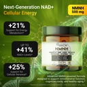 xpandage-nmnh-500mg-supplement-best-nmn--2.jpg