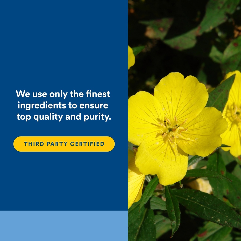 natural-factors-omega-factors-ultra-prim-5.jpg