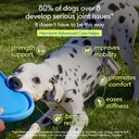 native-pet-daily-wellness-bundle-11-in-1-3.jpg