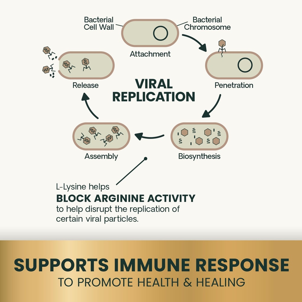 vetriscience-lysine-immunity-health-chew-6.jpg