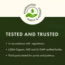 swanson-std-spirulina-blue-green-algae-1-4.jpg