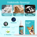 melatonin-for-dogs-dog-sleep-aid-anxiety-3.jpg