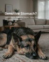 probiotics-for-dogs-digestive-gut-health-2.jpg