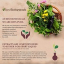 best-botanicals-kava-kava-root-powder-16-3.jpg