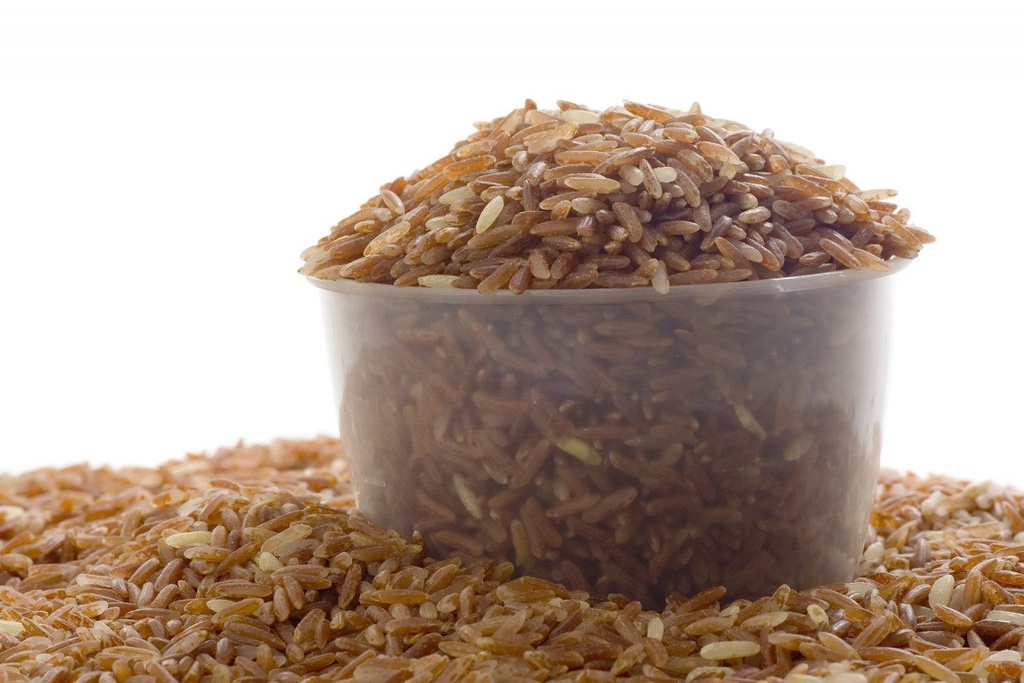 prescribed-for-life-organic-rice-protein-2.jpg