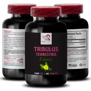 tribulus-terrestris-dietary-supplement-t-2.jpg