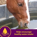 farnam-horse-health-apple-dex-apple-flav-4.jpg