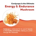 organic-cordyceps-mushroom-extract-70-be-6.jpg