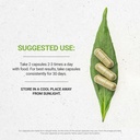 secrets-of-the-tribe-mullein-leaf-usda-o-3.jpg