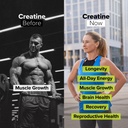 complement-triple-b12-spray-creatine-bun-5.jpg