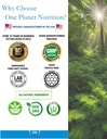 one-planet-nutrition-nano-panax-ginseng--5.jpg