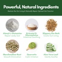 core-correct-gut-health-powder-formulate-5.jpg