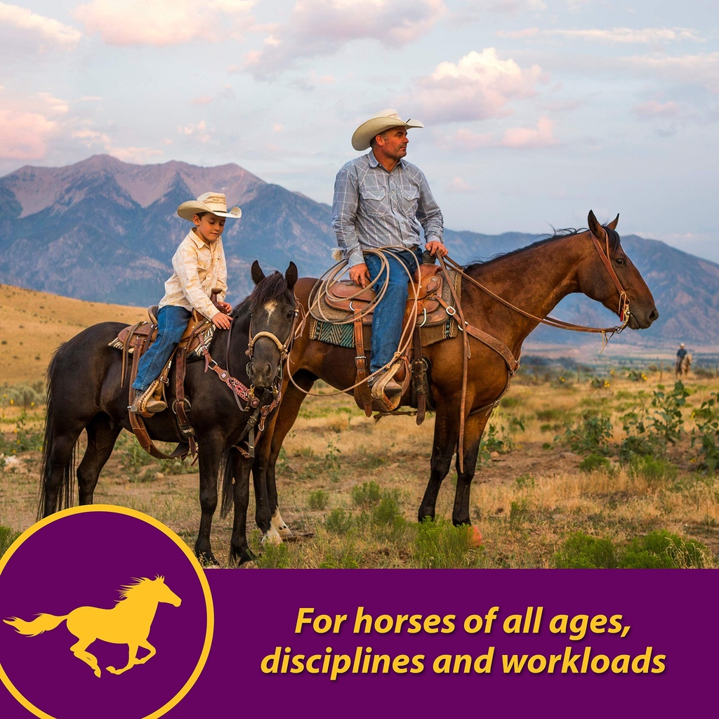 horse-health-red-cell-liquid-vitamin-iro-6.jpg