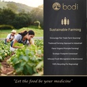 bodi-lecithin-powder-4oz-to-5lb-pure-nat-4.jpg
