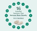 algaecal-bundle-all-natural-calcium-supp-3.jpg