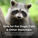 pet-ag-zoologic-bene-bac-plus-mammal-gel-3.jpg