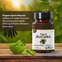 organic-spree-pure-himalayan-shilajit-re-2.jpg