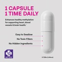 md-life-l-methylfolate-5-mg-professional-3.jpg
