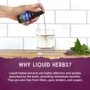 wishgarden-herbs-kick-ass-allergy-sinus--5.jpg