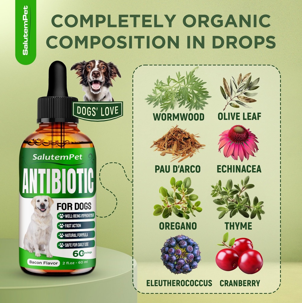 natural-antibiotics-for-dogs-and-puppies-3.jpg