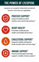 krk-supplements-1-bottle-lycopene-50mg-9-4.jpg