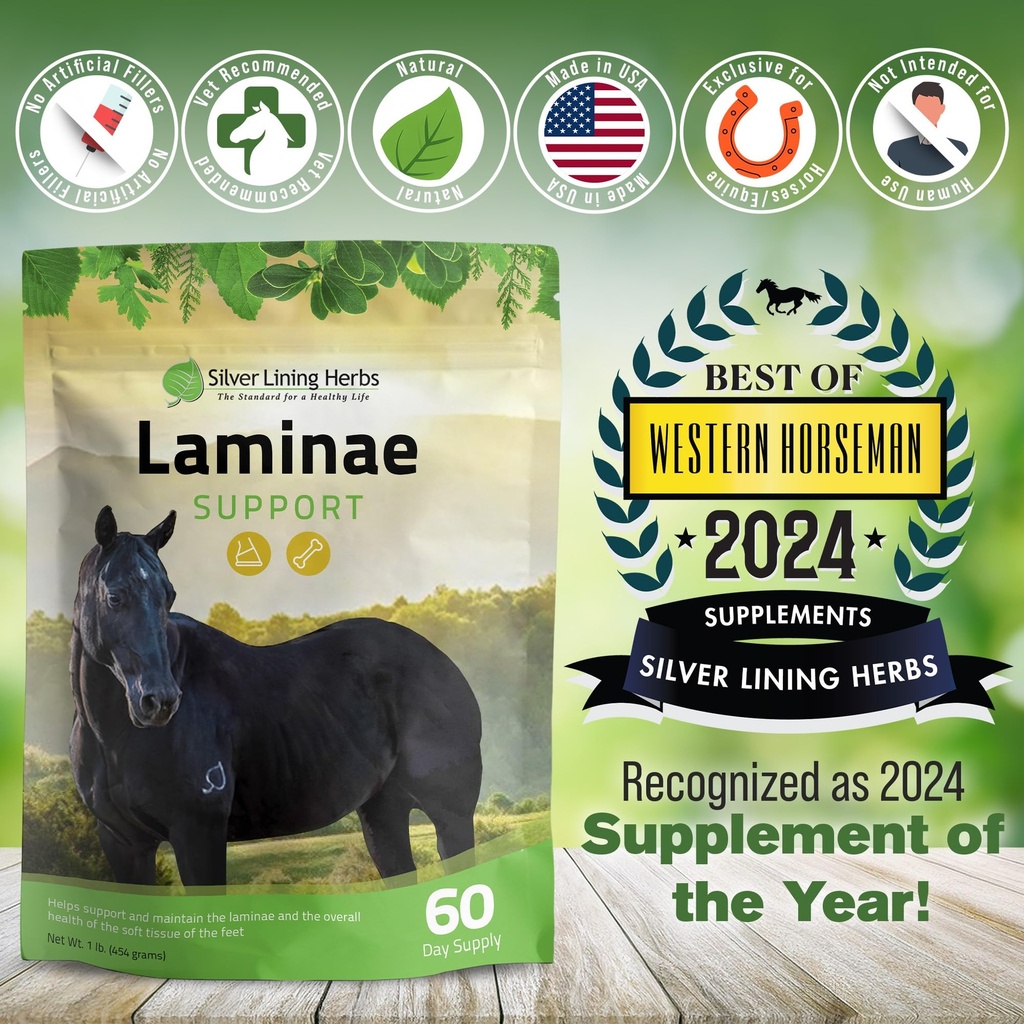 laminae-hoof-supplements-for-horses-1-lb-5.jpg