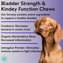 dog-weight-gainer-powder-and-bladder-str-4.jpg