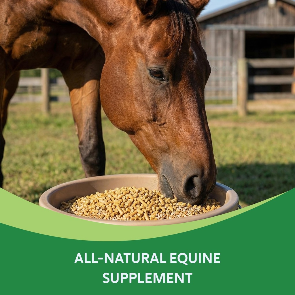 heiro-healthy-equine-insulin-rescue-nutr-3.jpg