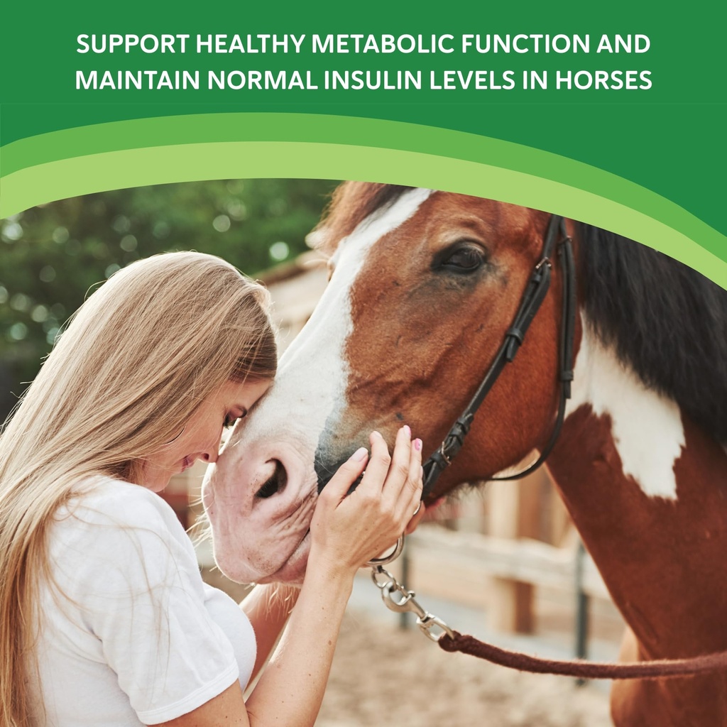 heiro-healthy-equine-insulin-rescue-nutr-5.jpg