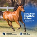 animed-biotin-100-daily-horse-hoof-suppl-3.jpg