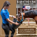 equerry-s-economy-equine-supplement-hors-5.jpg