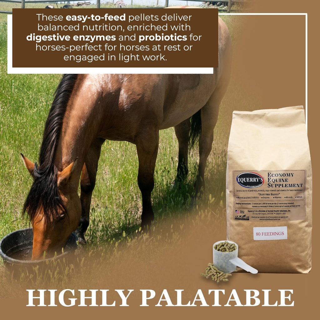 equerry-s-economy-equine-supplement-hors-3.jpg