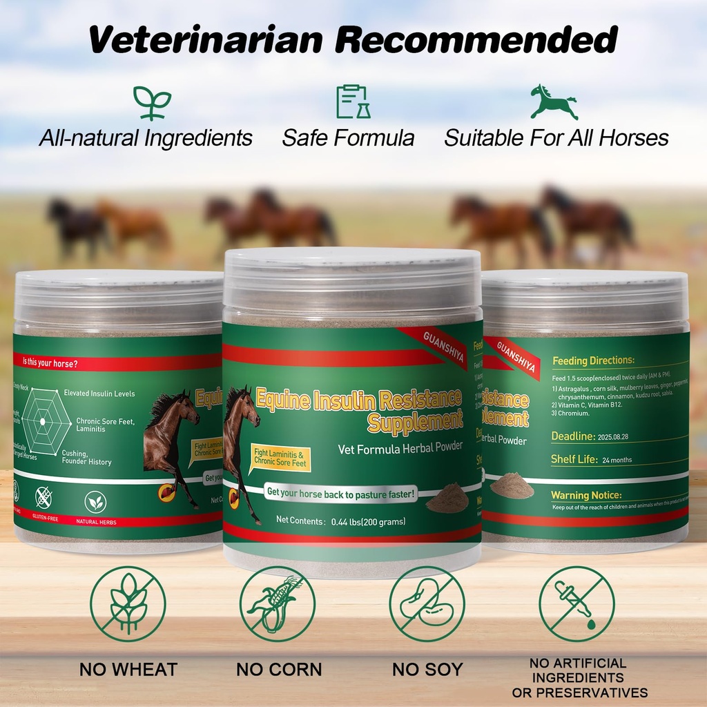 insulin-resistance-supplement-for-horses-6.jpg