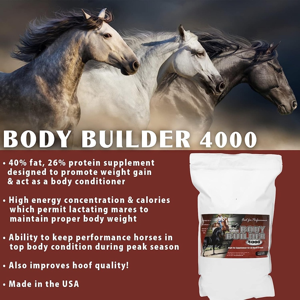 pennwoods-body-builder-4000-horse-weight-6.jpg