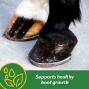 farnam-hb-15-hoof-supplement-supports-he-2.jpg