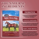 equerry-s-better-horse-belly-gut-support-3.jpg