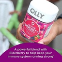 olly-gummy-active-immunity-elderberry-45-6.jpg