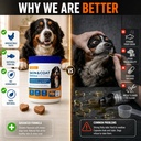 omega-3-fish-oil-for-dogs-skin-coat-alle-81Vw5mLJrqL.jpg