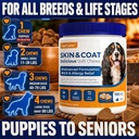 omega-3-fish-oil-for-dogs-skin-coat-alle-81U9G9-dAPL.jpg