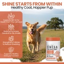 omega-3-fish-oil-for-dogs-salmon-flavor--91lBdr1aNLL.jpg